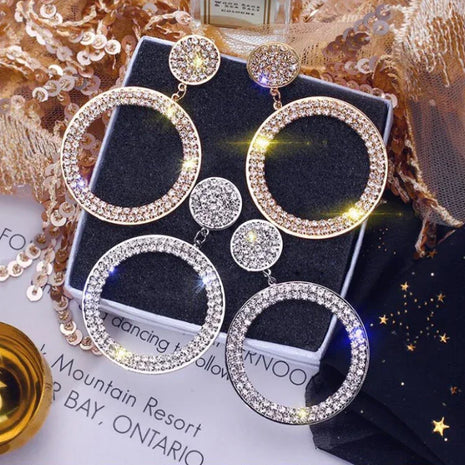 Exaggerated Circle Earring Earrings